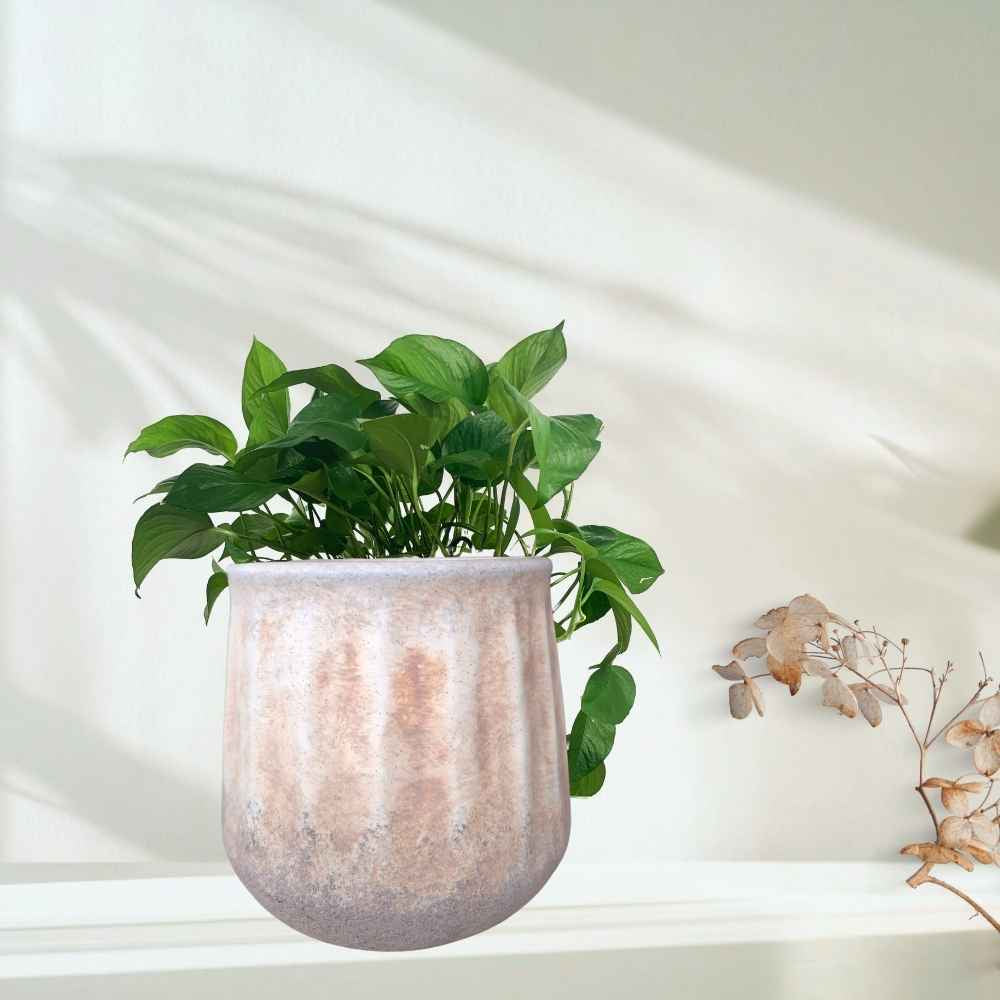 Rustic Ceramic Pot planter