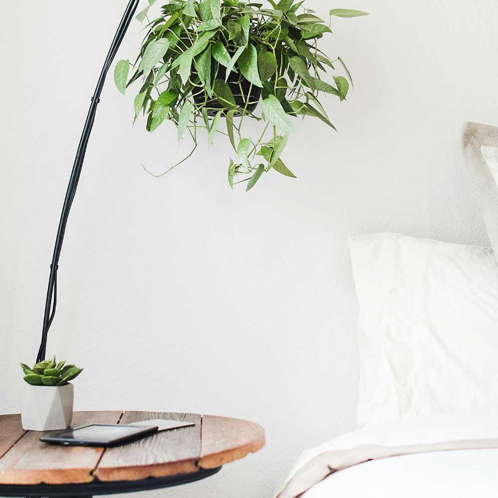 Decor